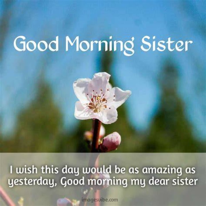 Beautiful Good Morning Wishes For A Wonderful Sister