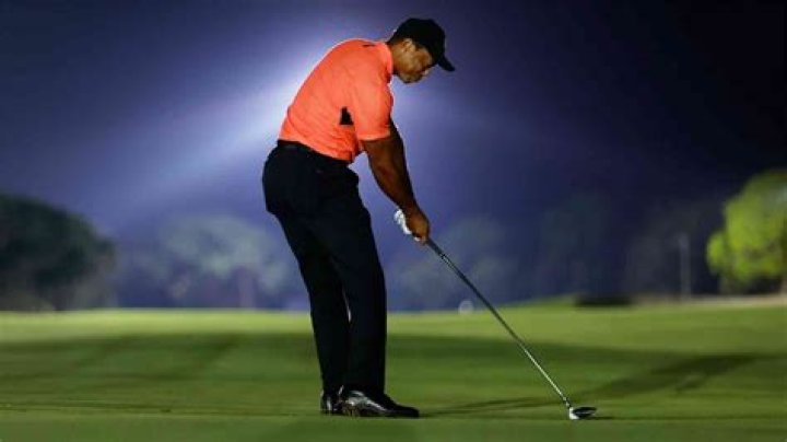 Golf Tiger Woods' girlfriend Erica Herman, exwife Elin Nordegren get