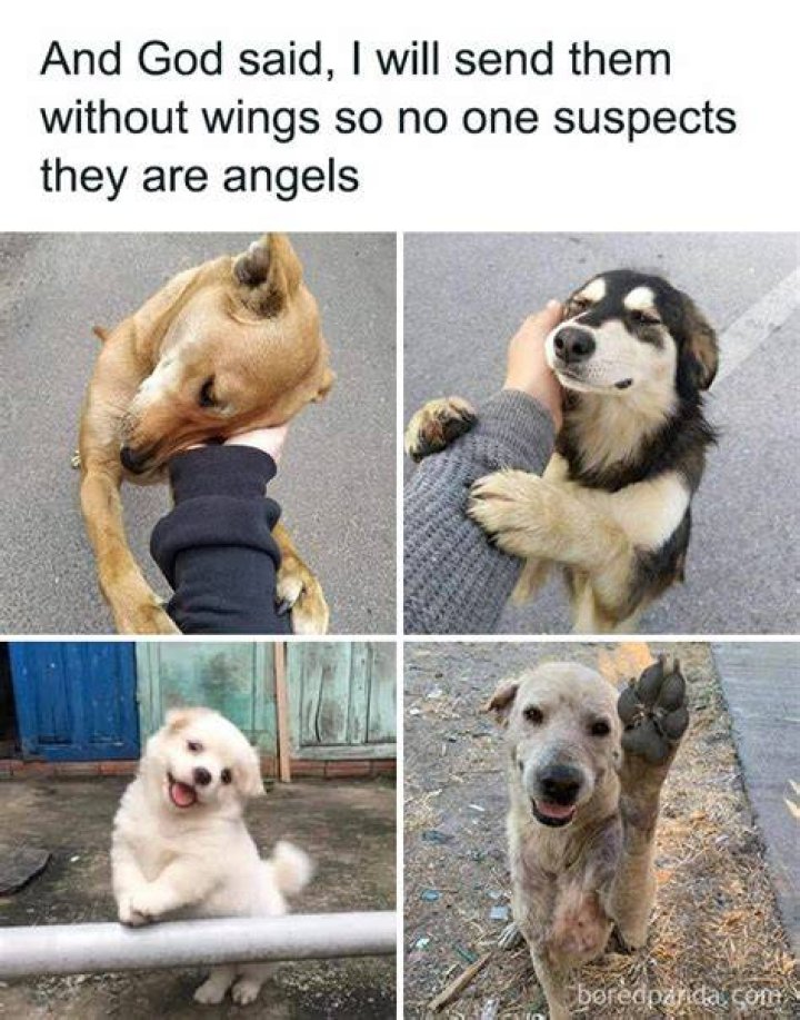 Hilarious Memes That Will Brighten Your Day