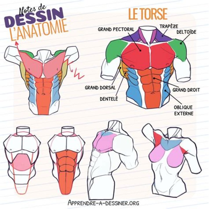 Le torse hercul&eacute;en de Jason Momoa Jason Momoa en 2019 Jason