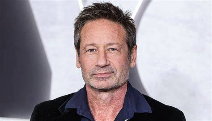 The Enduring Legacy Of David Duchovny: A Renowned Actor