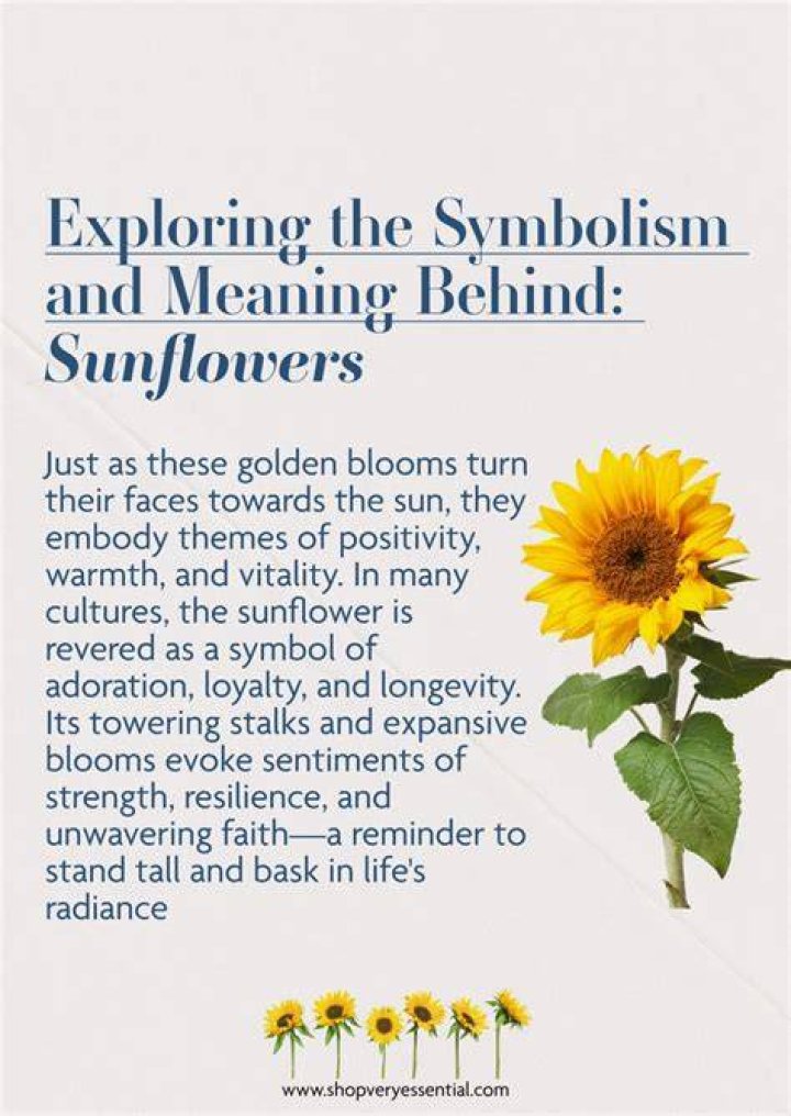 Understanding The Rich Symbolism And Meaning Behind Sunflowers